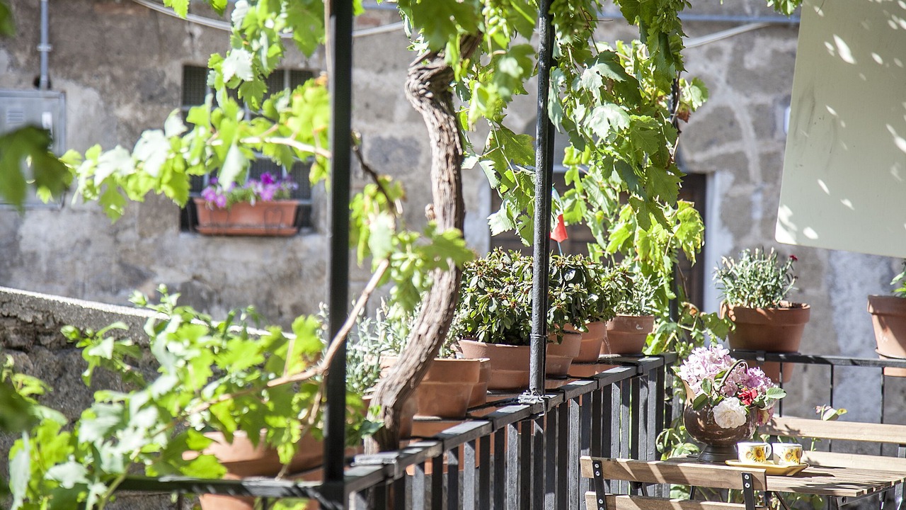 Photo of Outdoor in Ronciglione