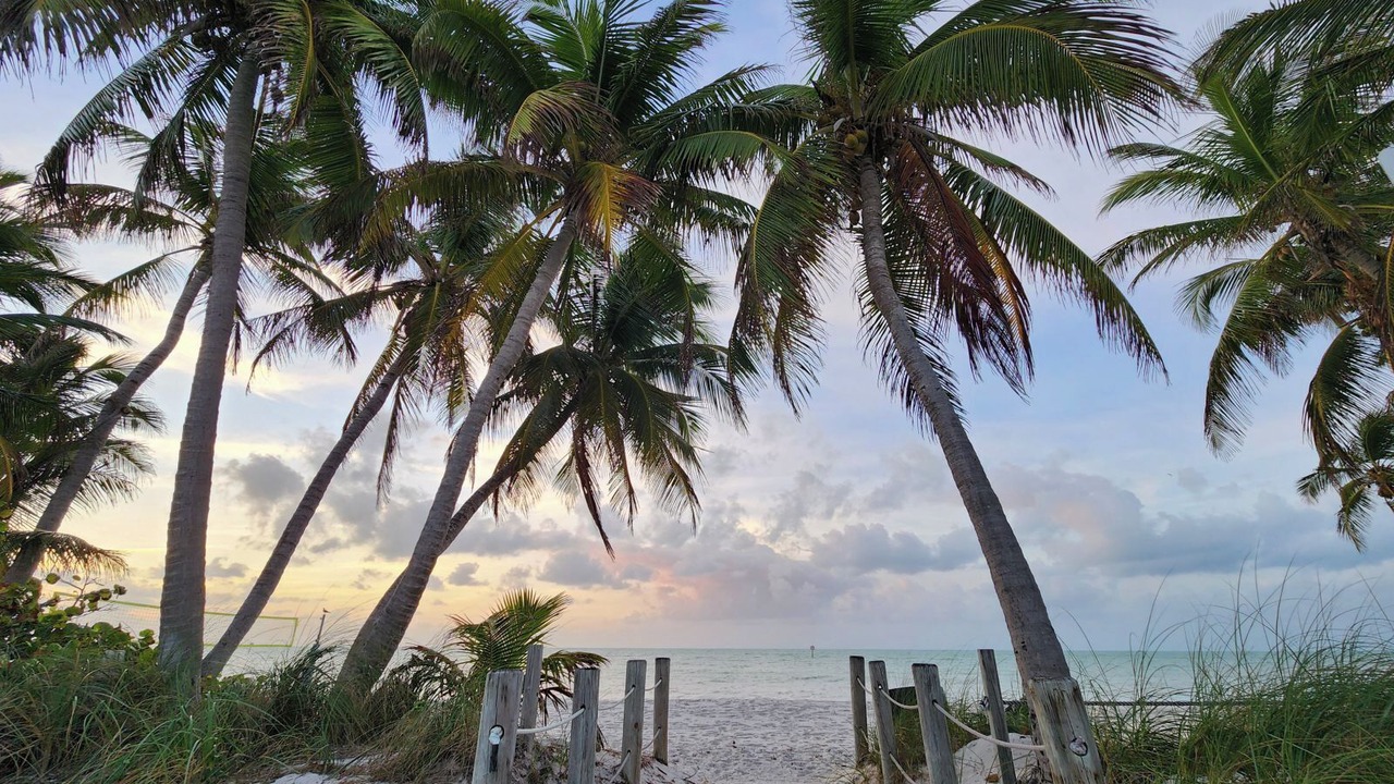 Photo of Others in Key West