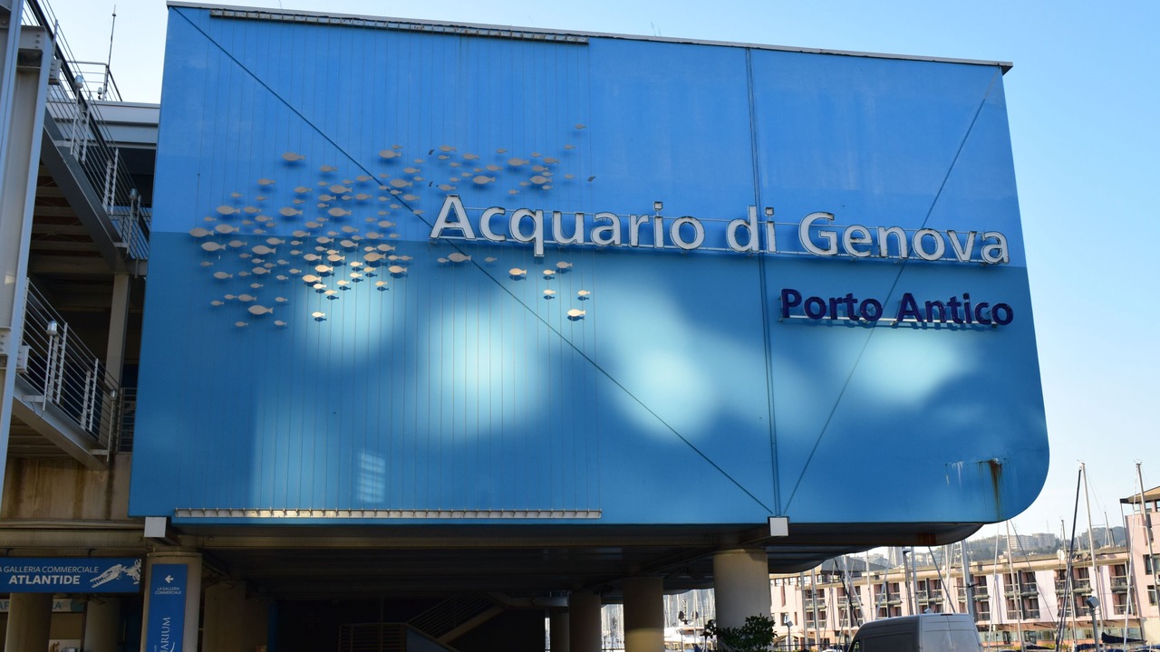 Photo of Outdoor in Genoa Historical Centre