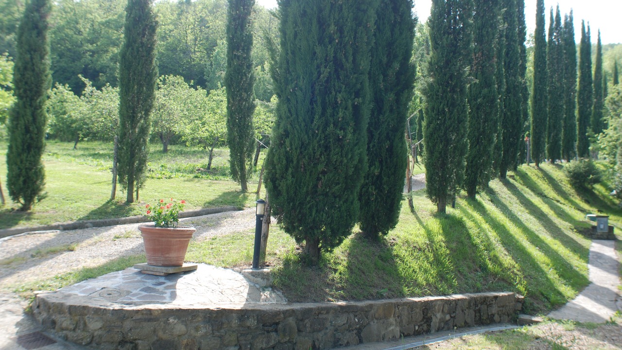 Photo of Others in Starda