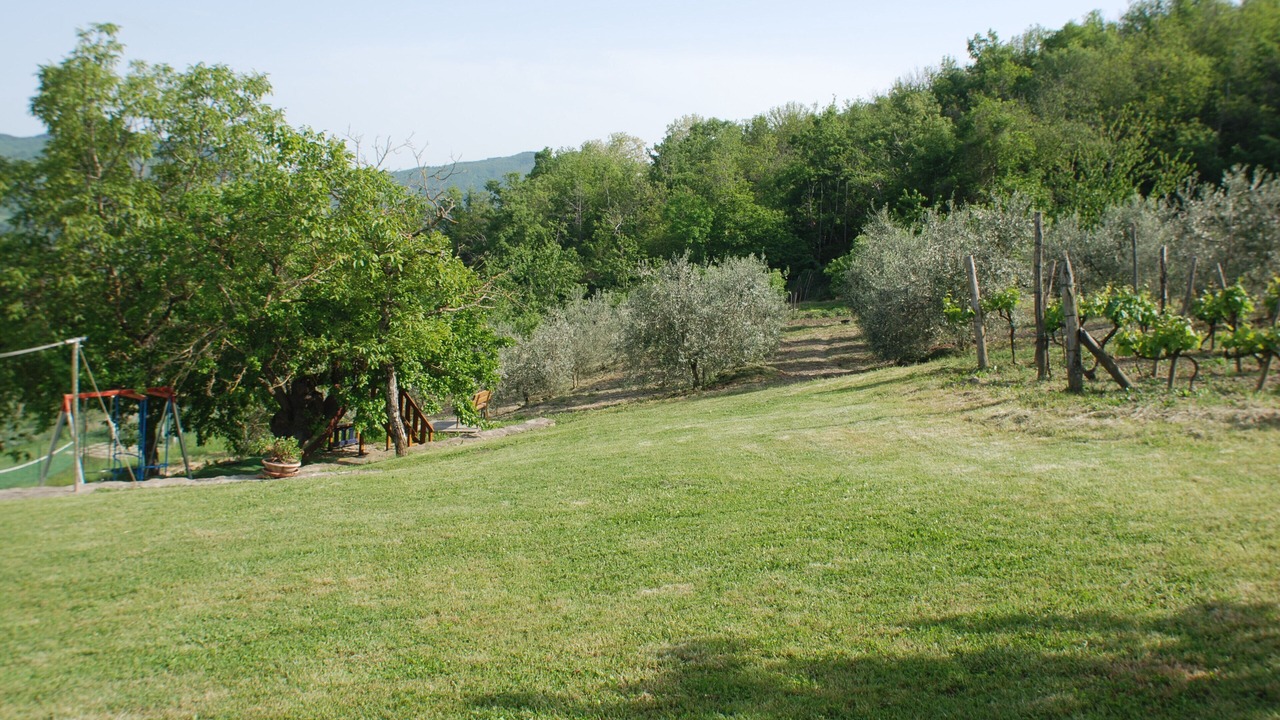 Photo of Others in Starda
