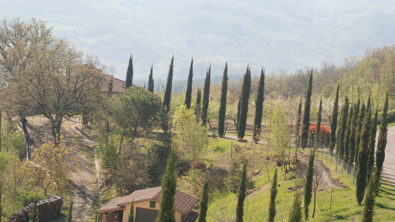 Photo of Others in Starda