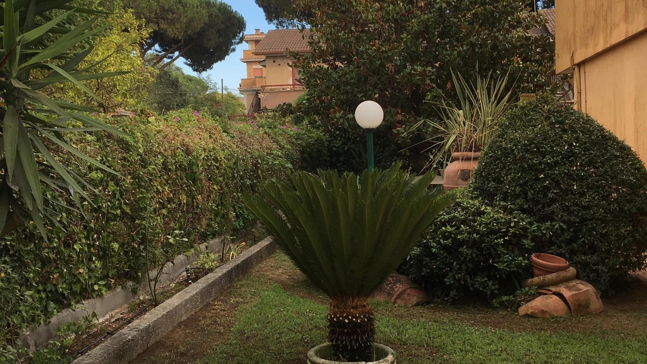 Photo of Outdoor in Anzio