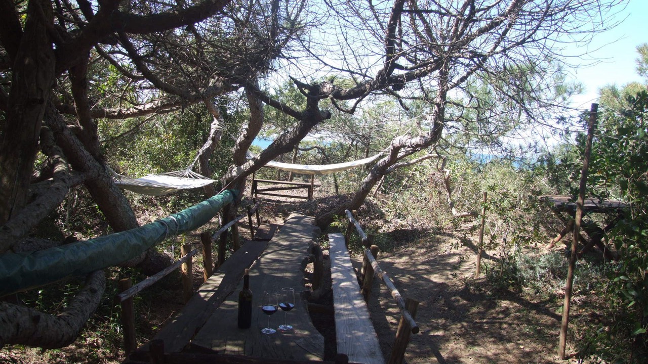 Photo of Outdoor in Marina di Castagneto Carducci