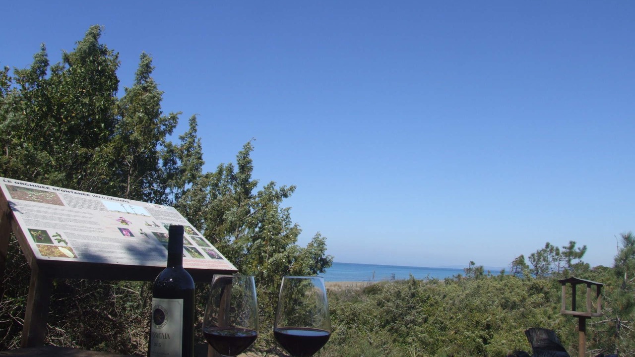Photo of Outdoor in Marina di Castagneto Carducci