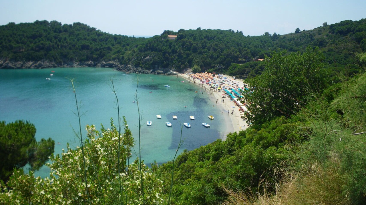 Photo of Others in Marina di Campo