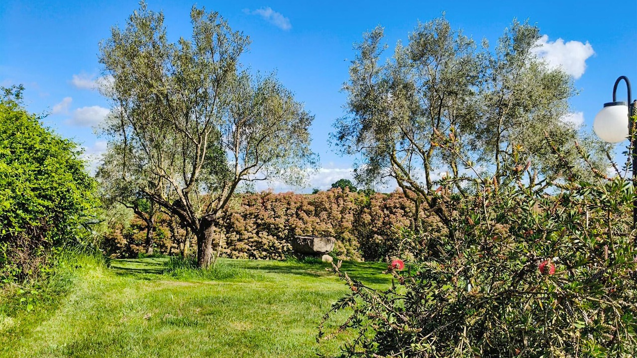 Photo of Others in Piansano