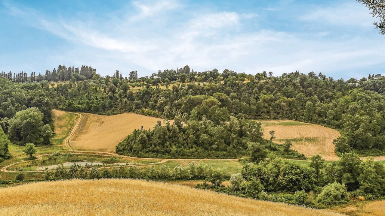 Photo of Others in Montecatini Val di Cecina