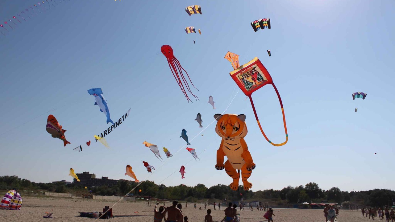 Photo of Others in Lido degli Estensi
