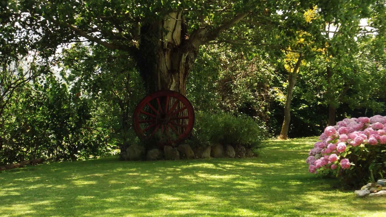 Photo of Outdoor in Il Poggio