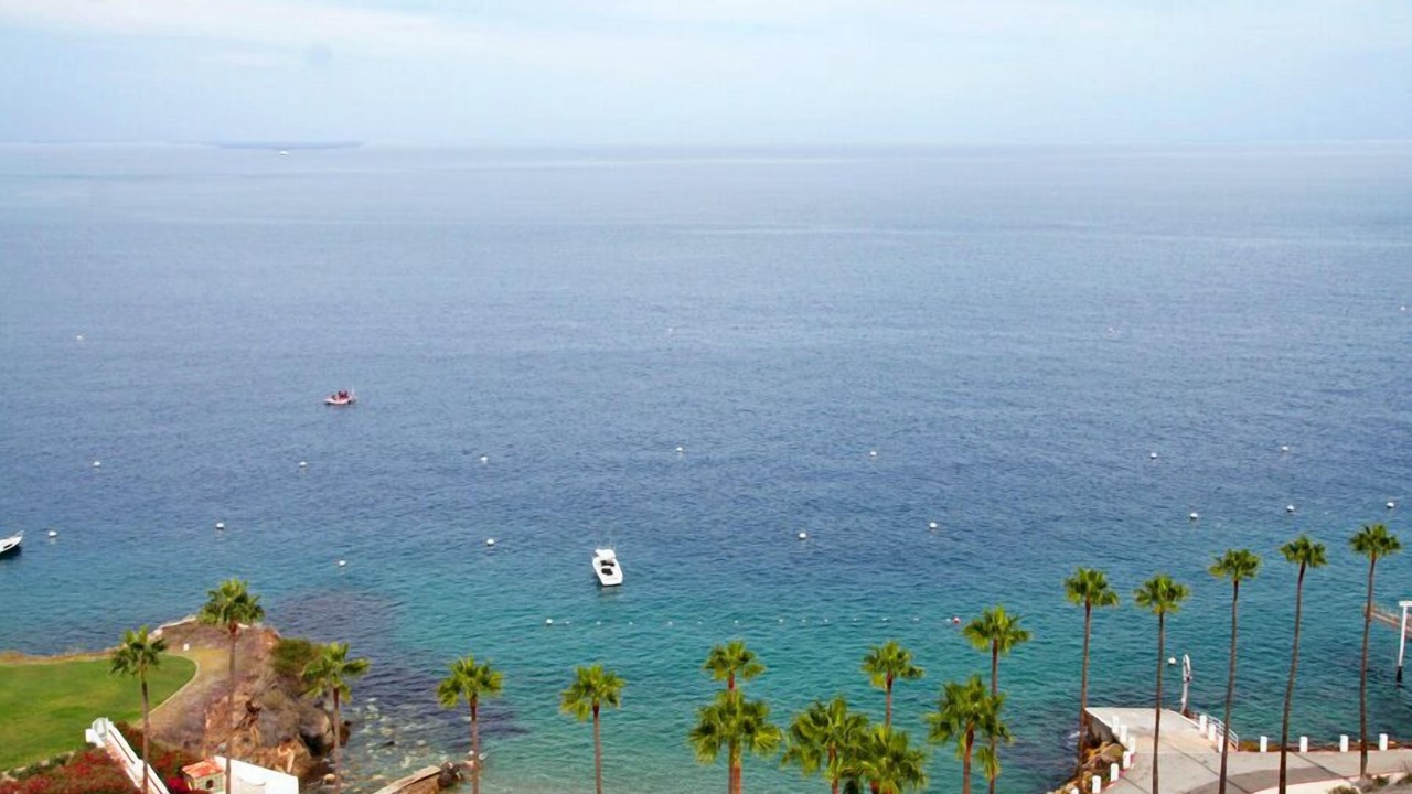 Photo of Others in Avalon