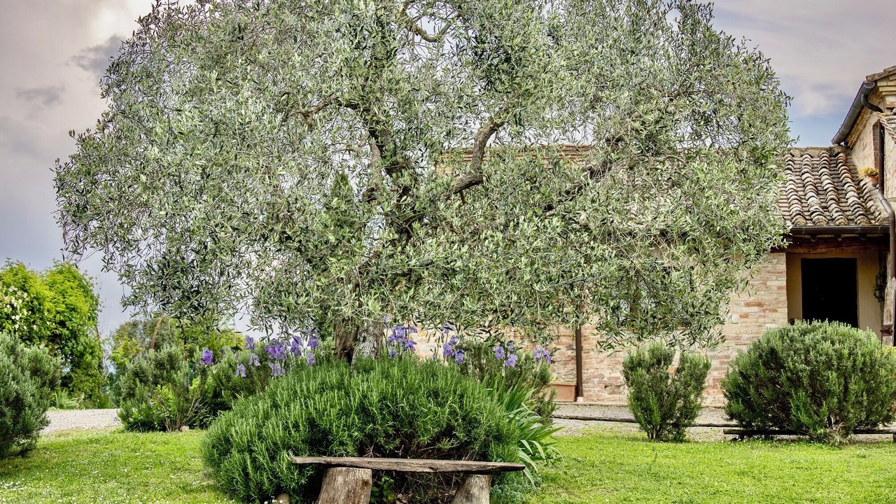 Photo of Outdoor in Vergelle