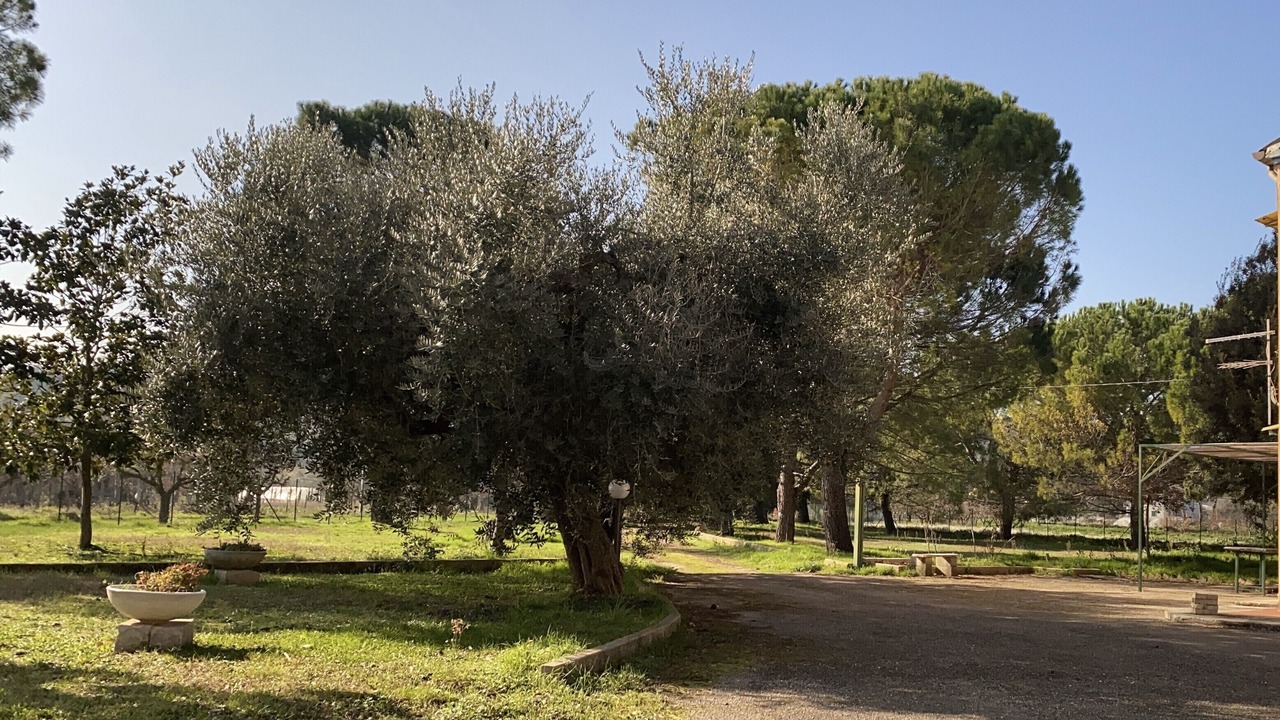 Photo of Outdoor in Collecorvino
