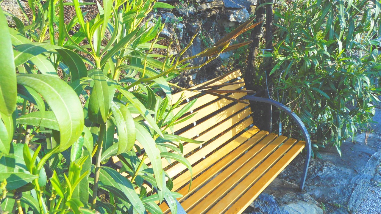 Photo of Outdoor in Badalucco