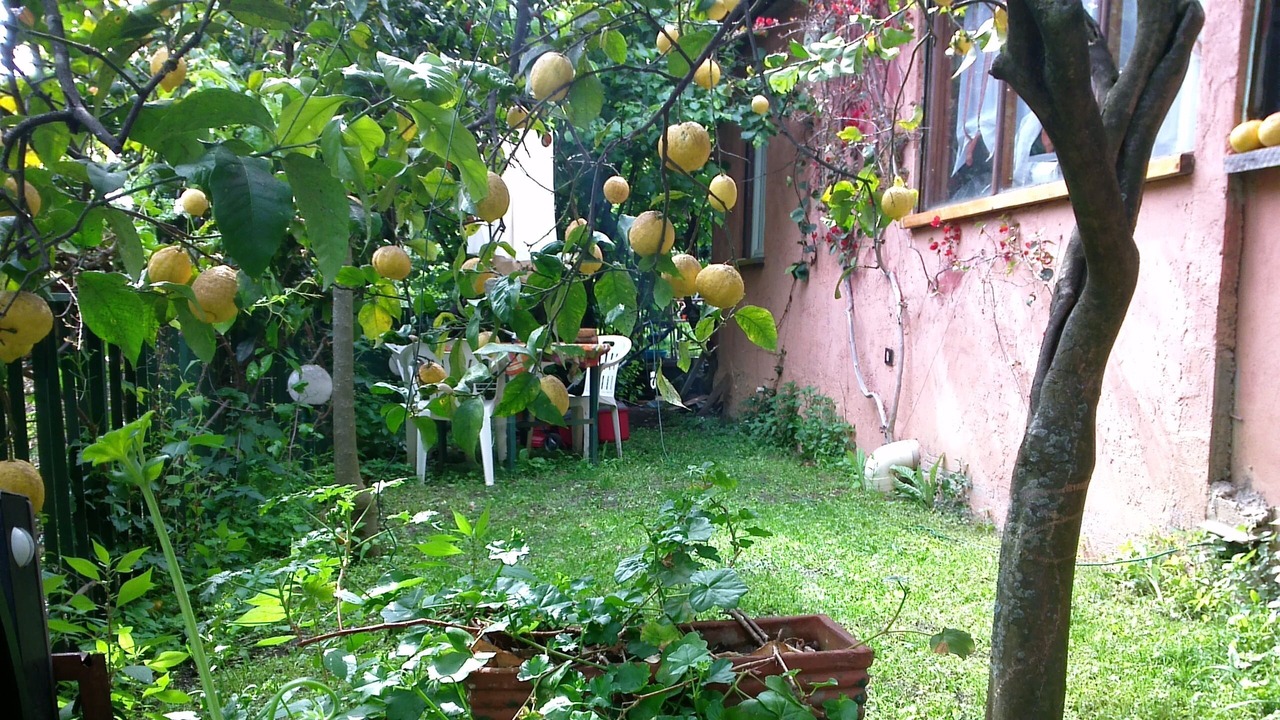 Photo of Outdoor in Zoagli