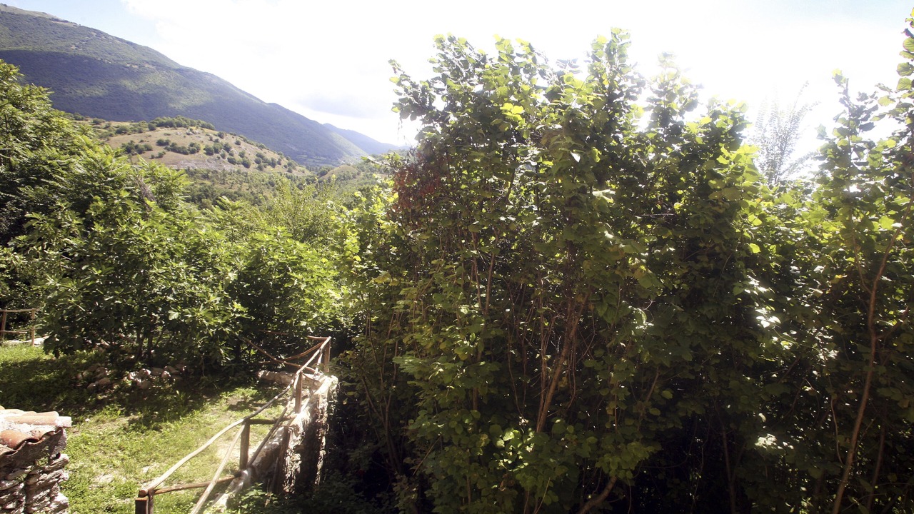 Photo of Outdoor in Poggio San Giovanni