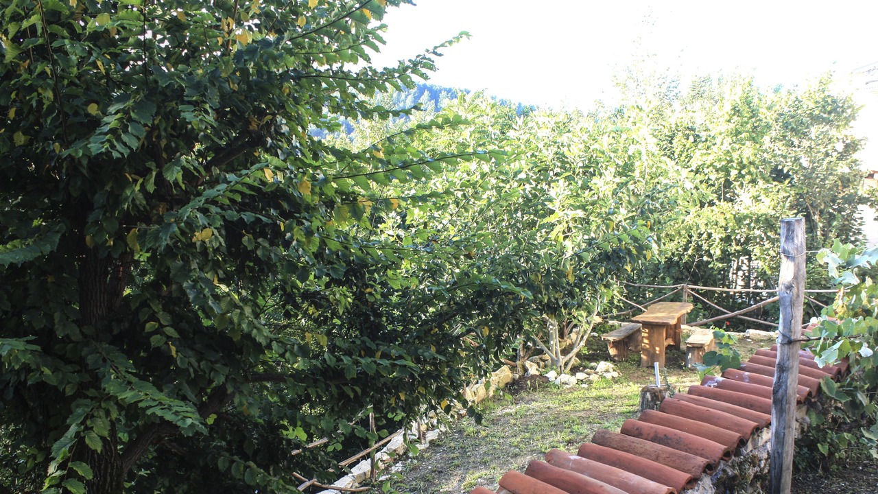 Photo of Outdoor in Poggio San Giovanni