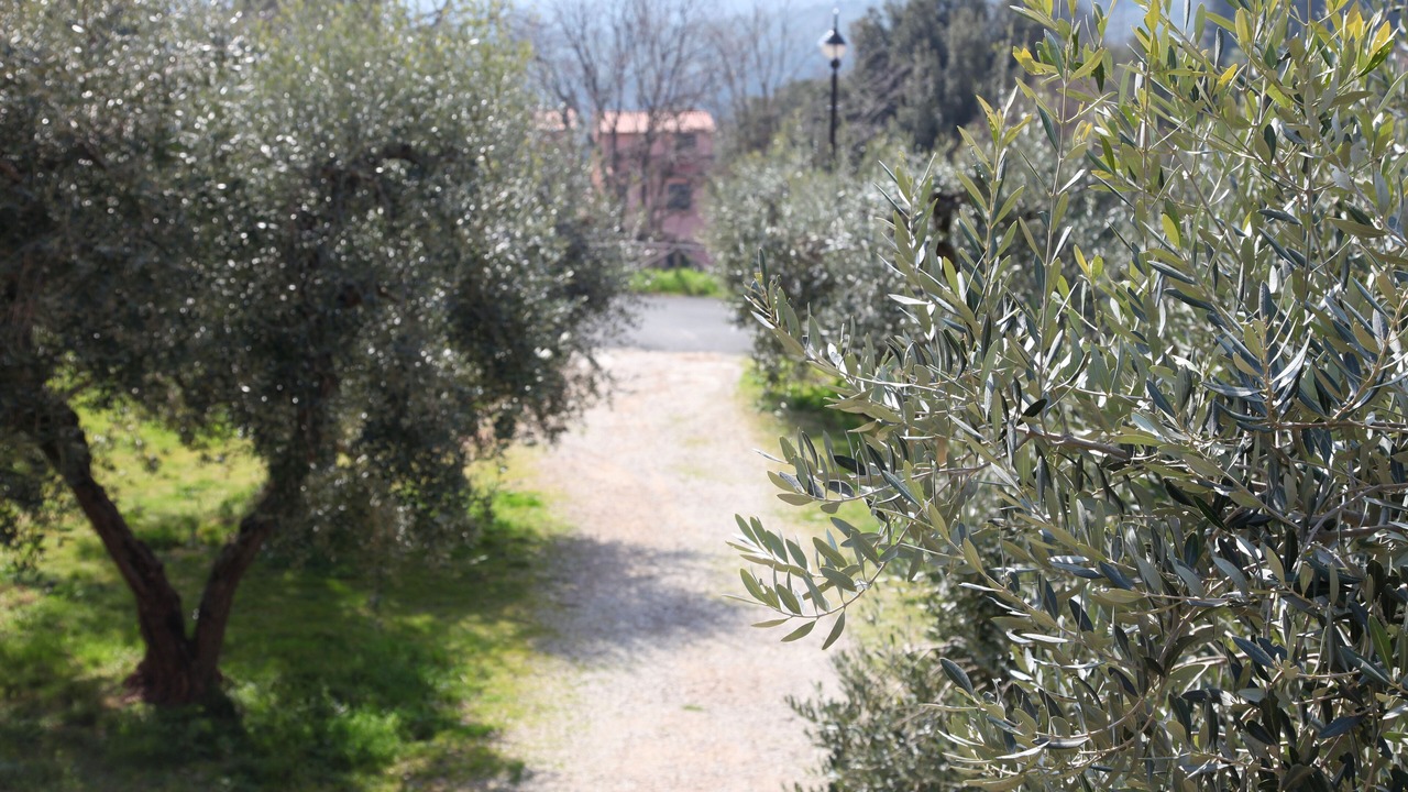 Photo of Outdoor in Monteverdi Marittimo