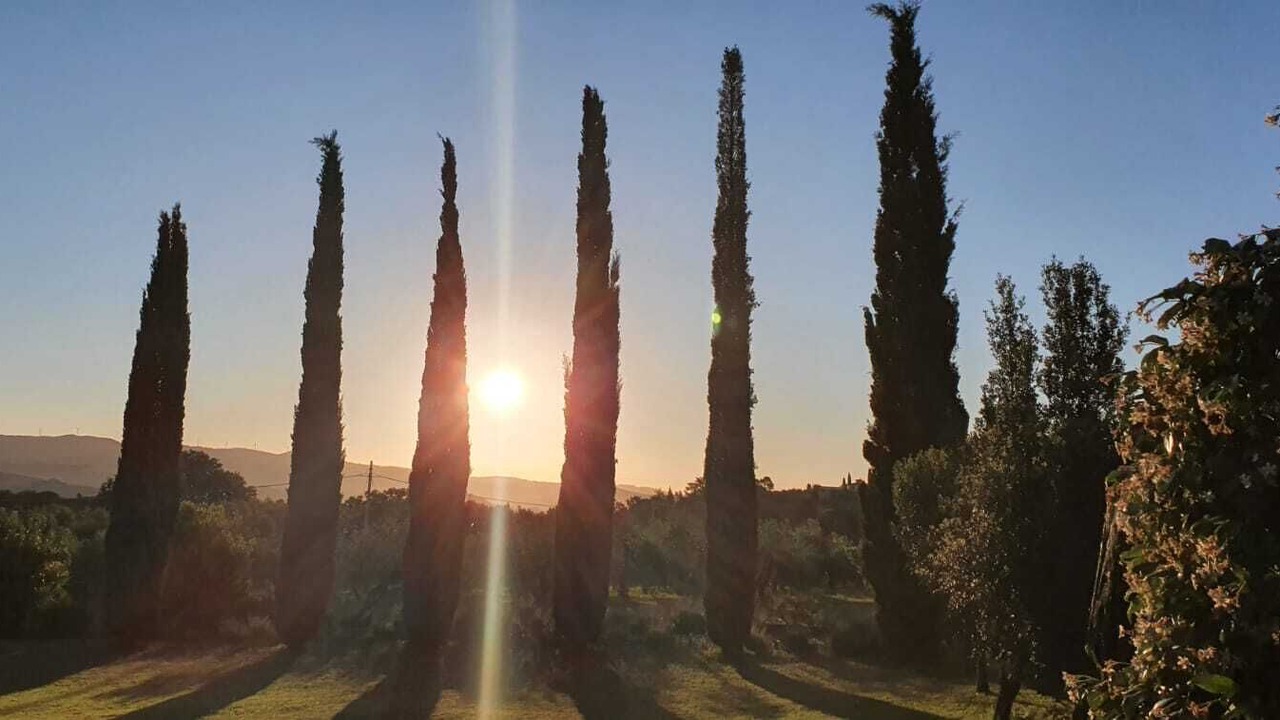 Photo of Others in Montescudaio