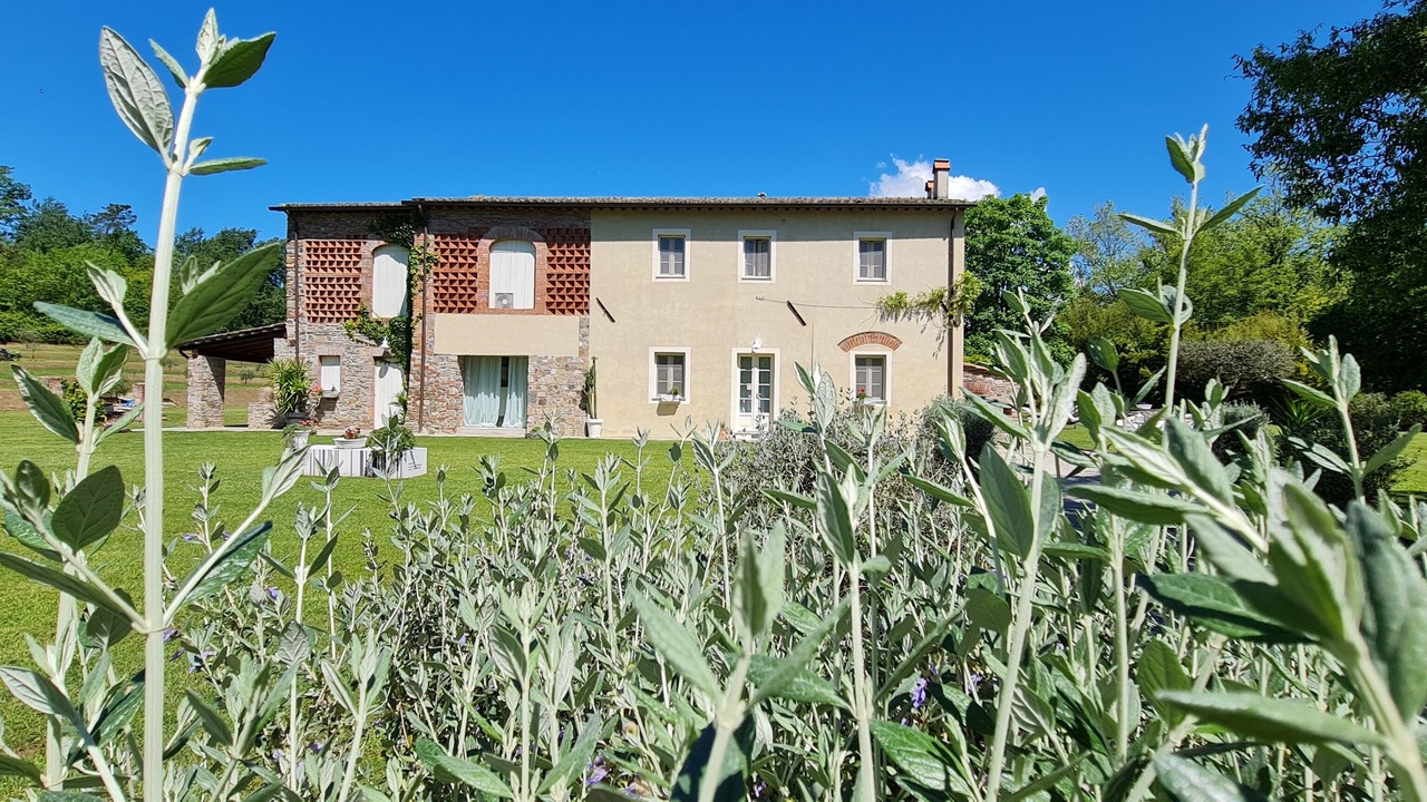 Photo of Outdoor in Vicopelago