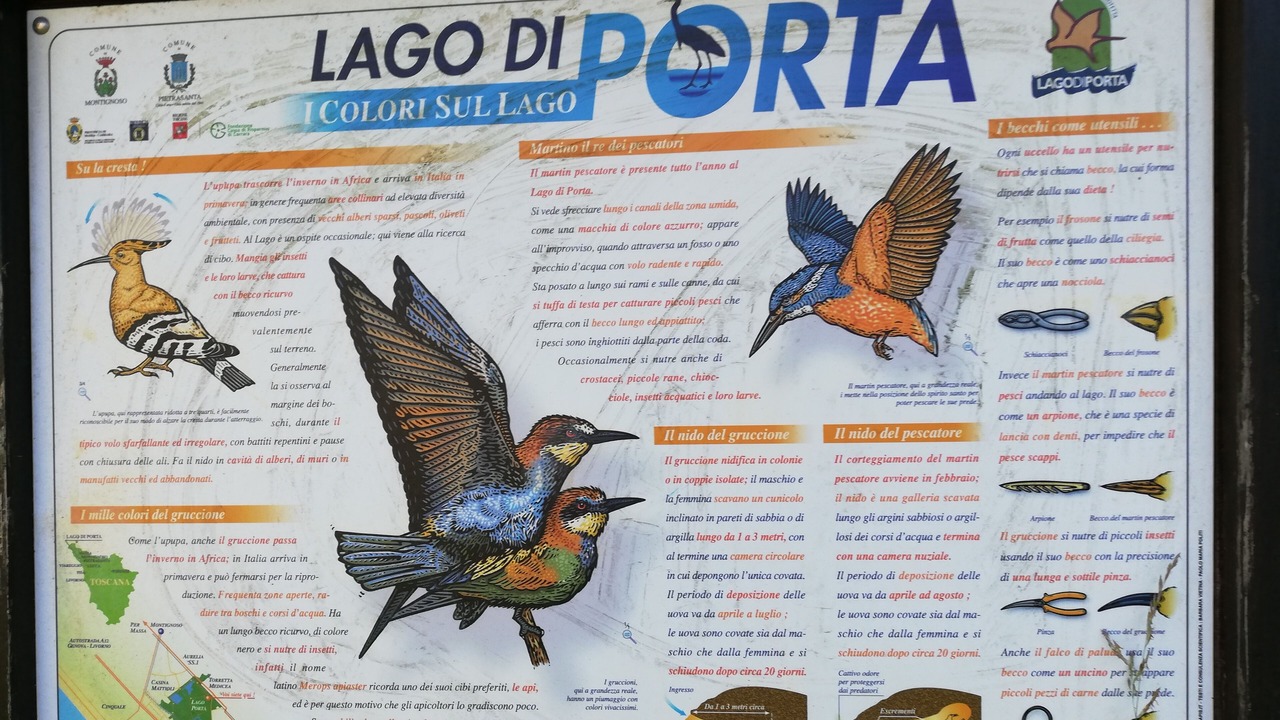 Photo of Others in Capanne-Prato-Cinquale