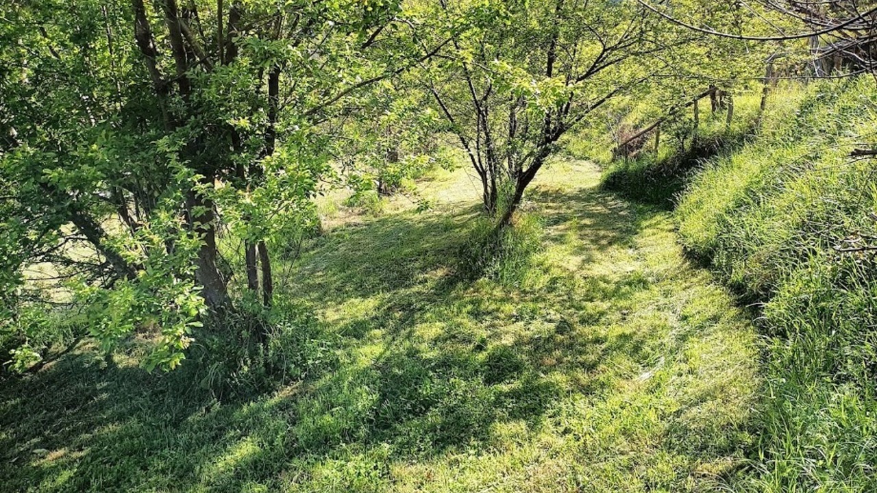 Photo of Outdoor in Carrodano Inferiore