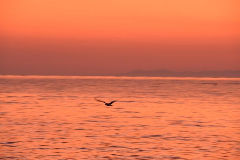 Photo of Others in Rio nell'Elba