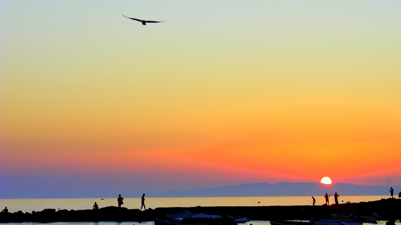 Photo of Others in Follonica