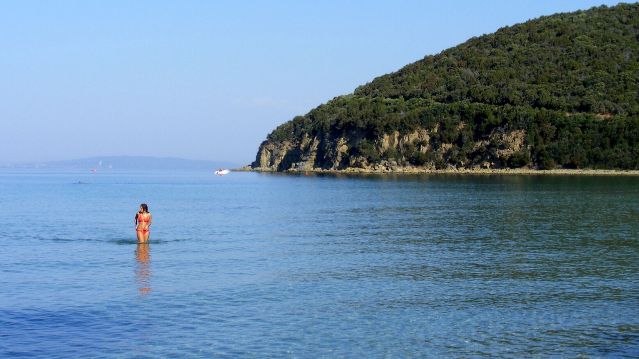 Photo of Others in Follonica