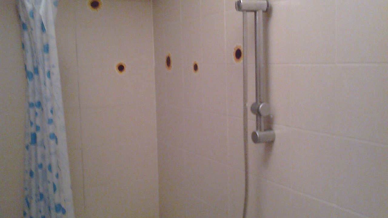 Photo of Bathroom in Follonica
