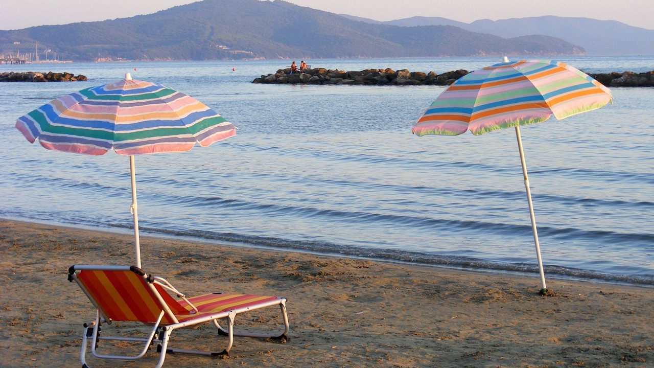 Photo of Others in Follonica