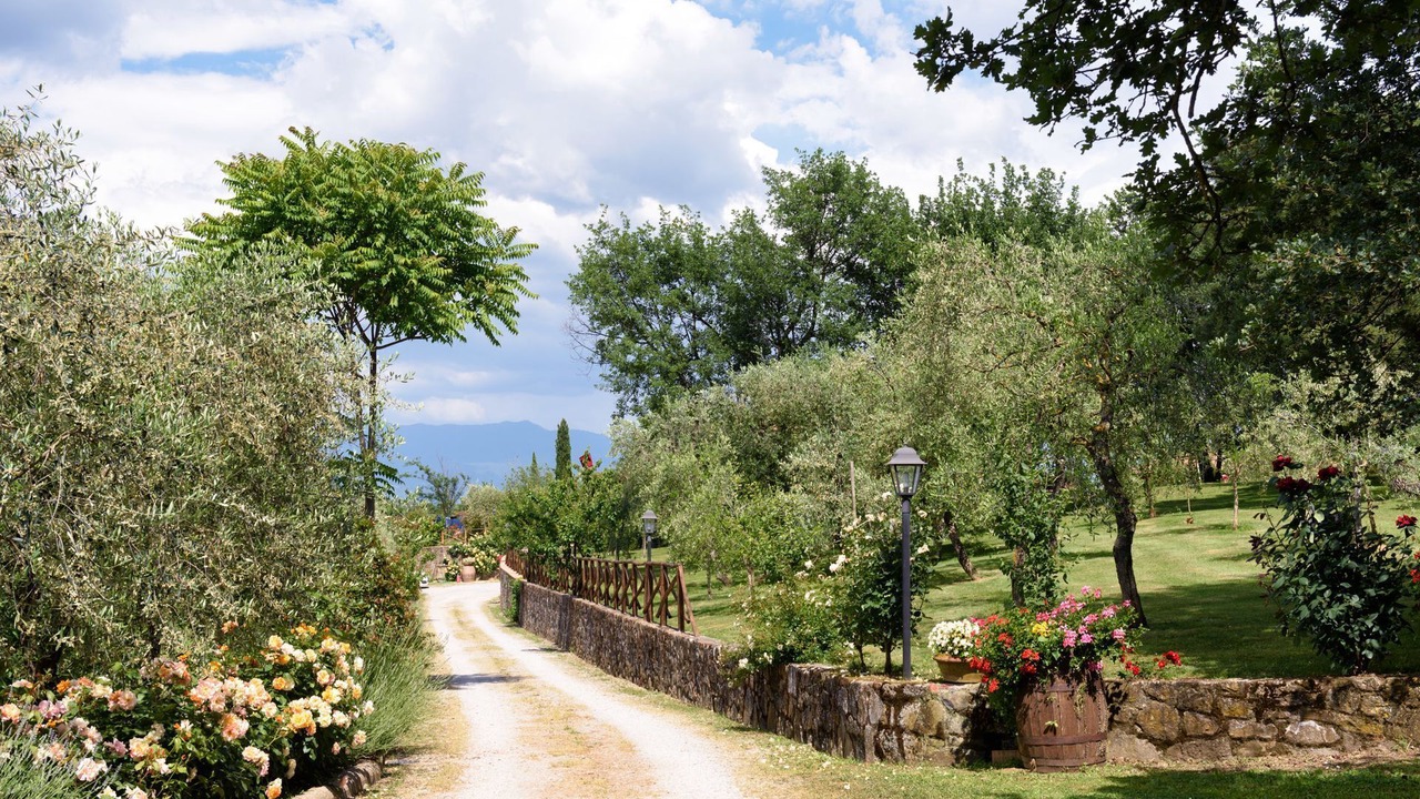 Photo of Outdoor in Cavriglia