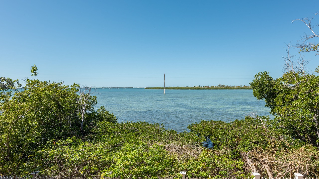 Photo of Others in Key West