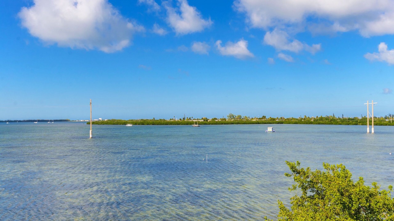 Photo of Others in Key West