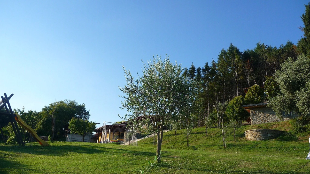 Photo of Others in Pratovecchio