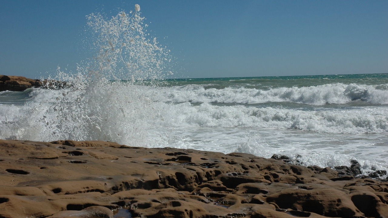 Photo of Others in Praia da Luz