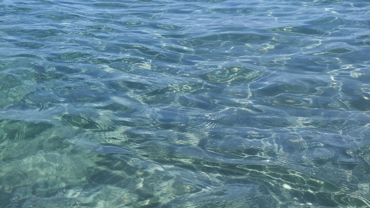 Photo of Others in Castiglione della Pescaia
