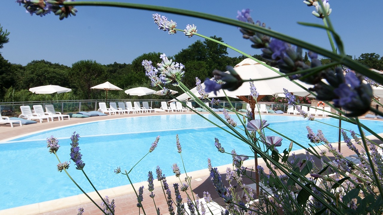 Photo of Outdoor in Guardistallo