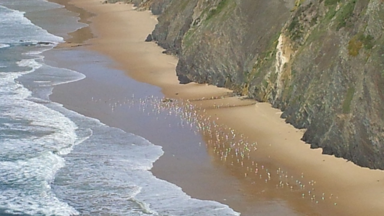 Photo of Others in Aljezur