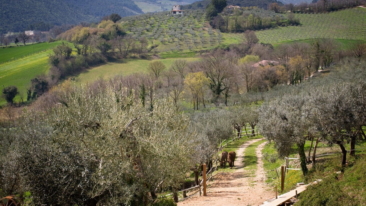 Photo of Outdoor in Spoleto