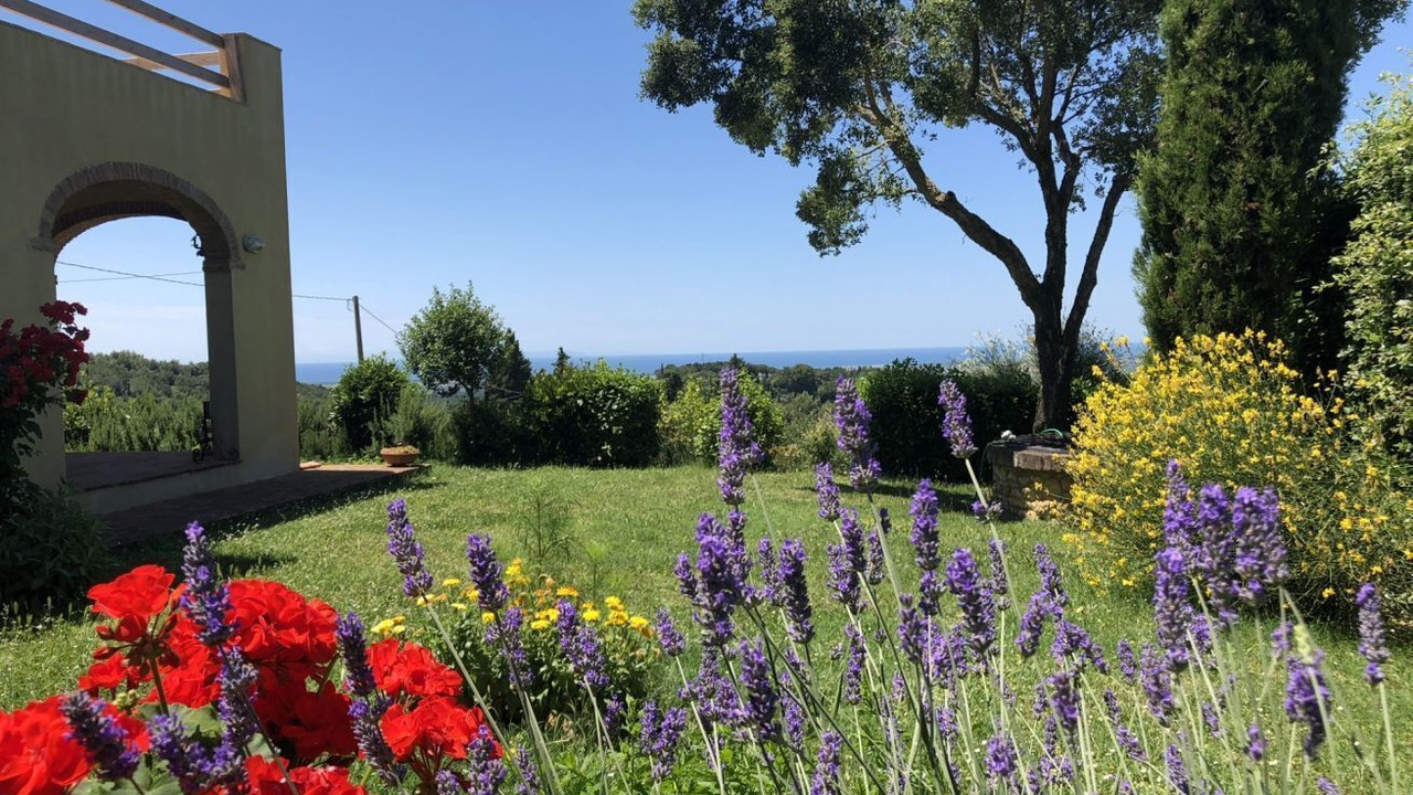 Photo of Outdoor in Guardistallo
