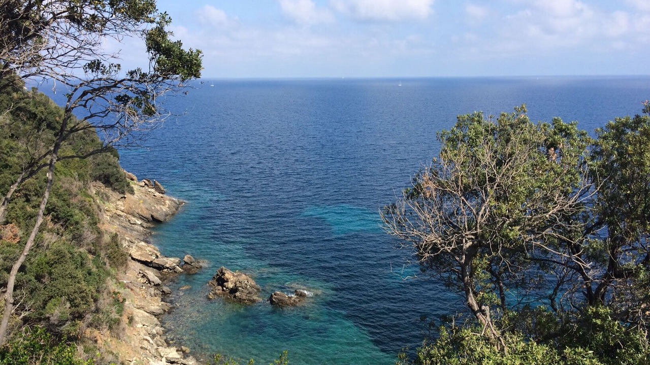 Photo of Others in Marina di Campo