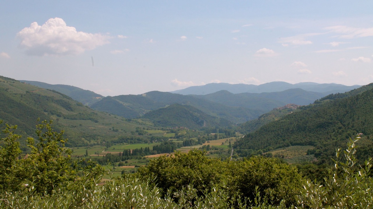 Photo of Others in Precetto