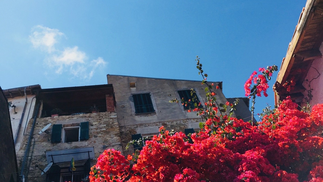 Photo of Outdoor in Ventimiglia
