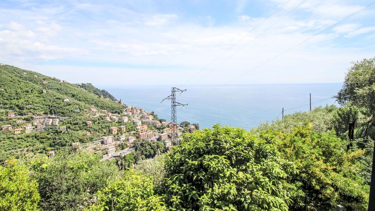 Photo of Outdoor in Zoagli