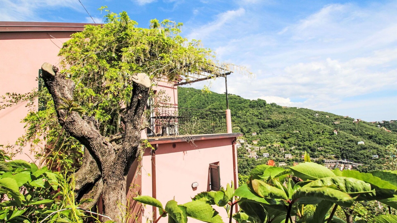Photo of Outdoor in Zoagli