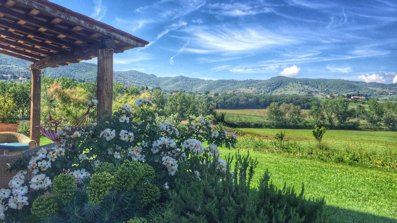 Photo of Outdoor in Paciano