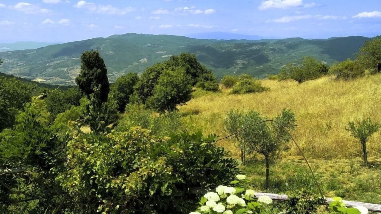 Photo of Outdoor in Pieve di Chio