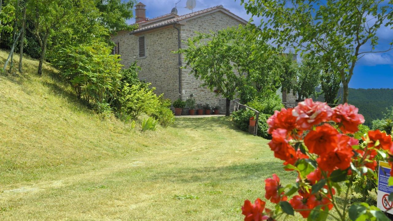 Photo of Outdoor in Pieve di Chio