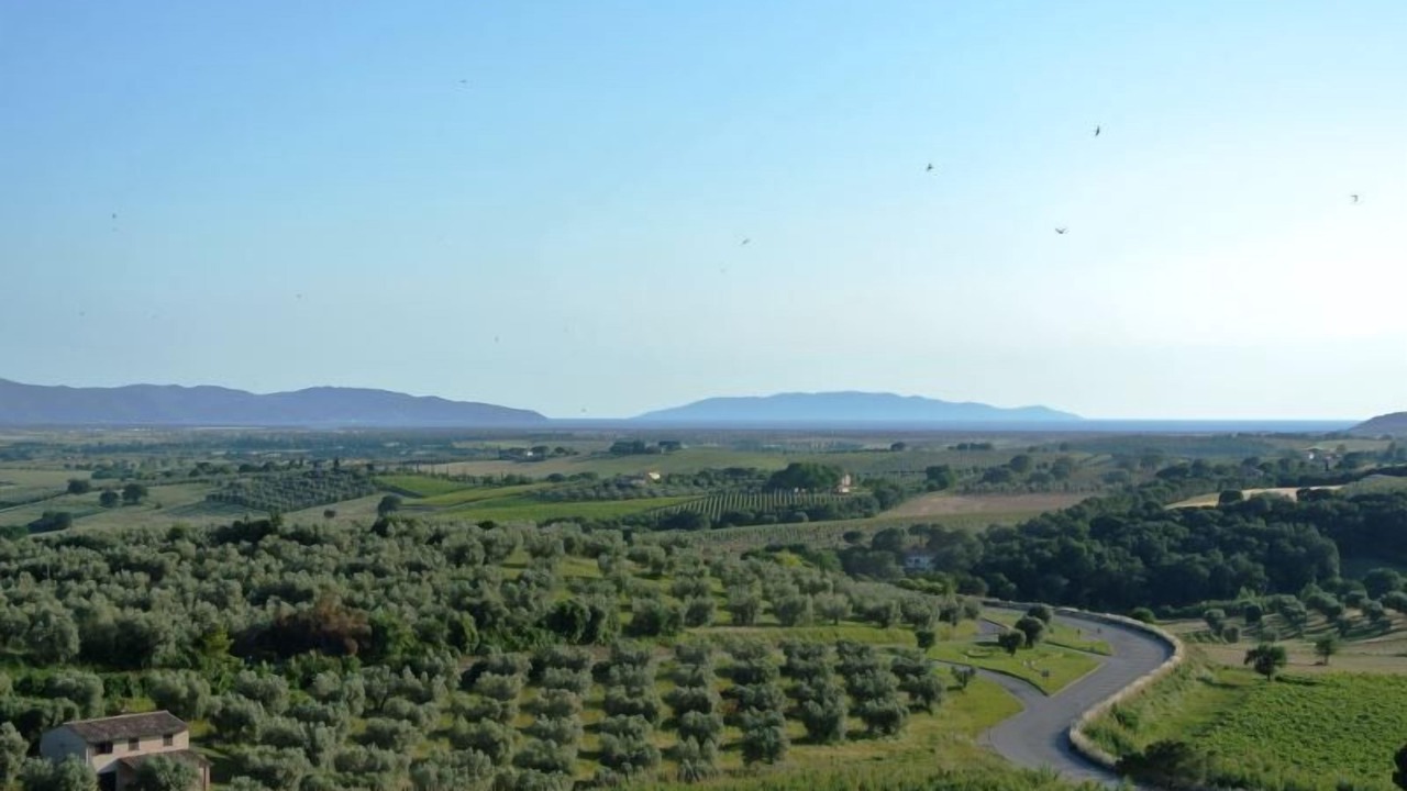Photo of Others in Magliano in Toscana